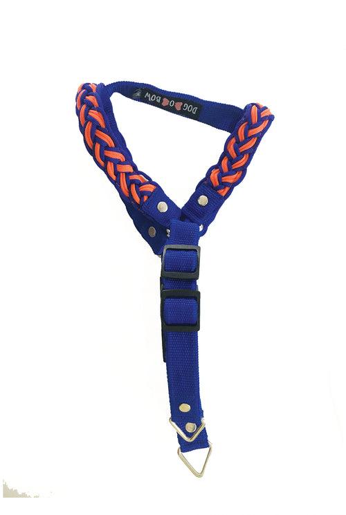 Multi - Briad Step-in Harness