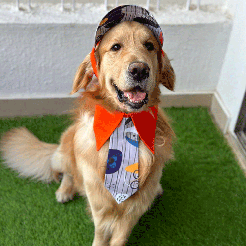 Orange Printed Neck Tie & Baseball Cap Combo