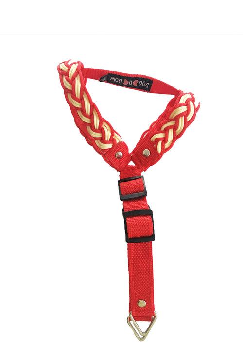 Multi - Briad Step-in Harness