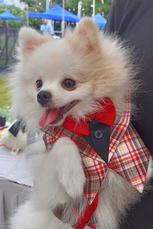 Red Check Tuxedo Vest Bandana