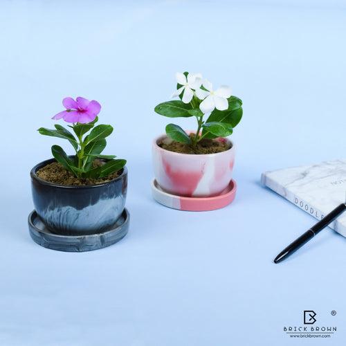 Planters with Base in Marble Texture - Set of 2