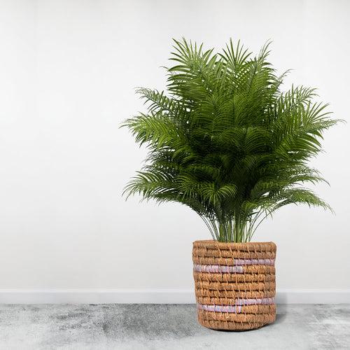 Eco-Chic Designer Plant Holder