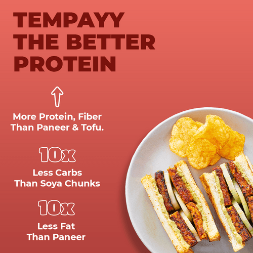 Tandoori Tempeh Thins