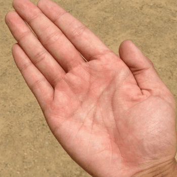 Get Palmistry Reading Report