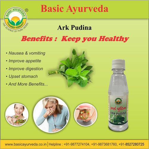 Basic Ayurveda Ark Pudina 200Ml