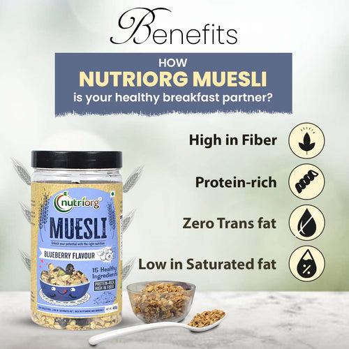 Nutriorg Blueberry Muesli 400g | Protein Muesli | 100% Wholegrain Muesli