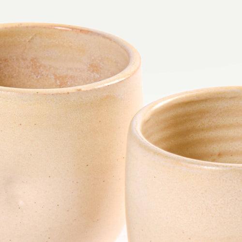 ADVAITA TUMBLERS