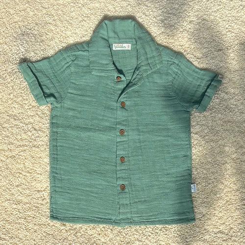 Cotton Collar Shirt with Short for Kids | Sea Weed