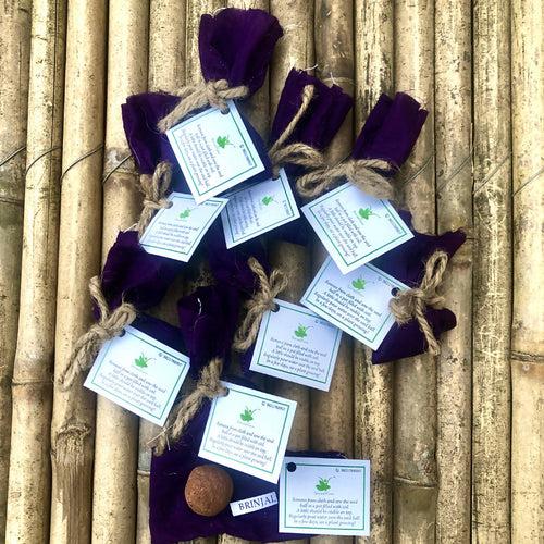 10 Plantable Seed Balls with Brinjal Seeds | Beej Ball