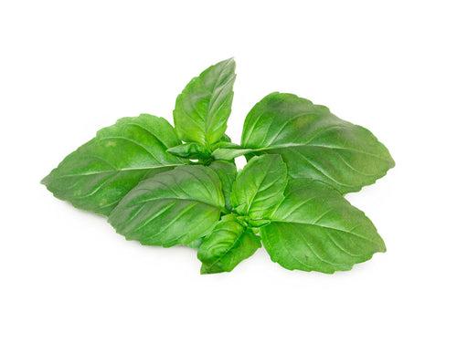 Marseille Basil