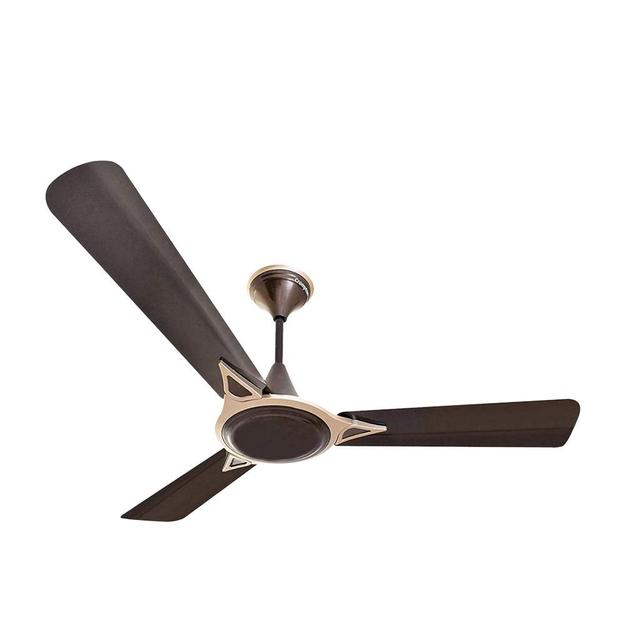 Crompton Avancer Prime 1200 mm (48 inch) Decorative Ceiling Fan with Anti Dust Technology (Bakers Brown)