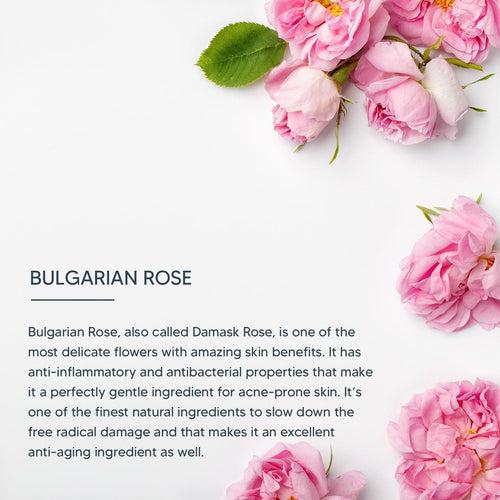 dermoSpa Bulgarian Rose Radiance Renewal Night Creme