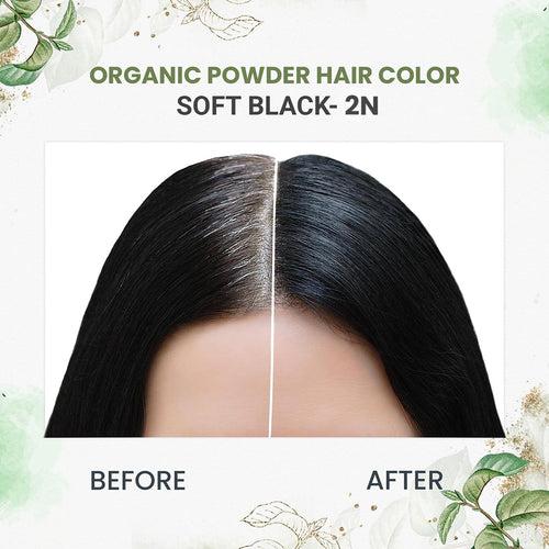 Quikhenna 100% Powder Organic Hair Color - 2N Soft Black