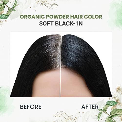 byPureNaturals 100% Organic Powder Soft Black Hair Color (60 Gram) | Pure Natural Hair Colour for Men & Women | Chemical Free & Ammonia Free Hair Colour