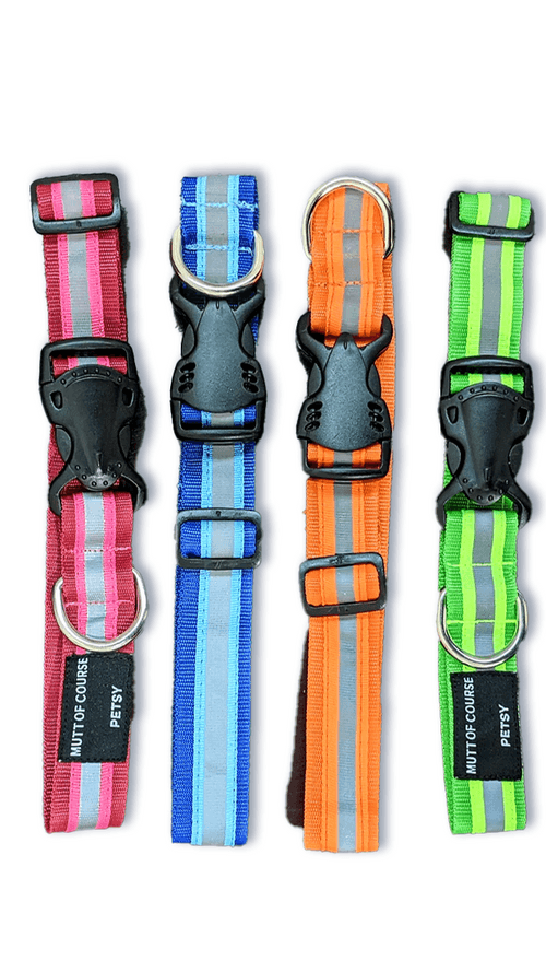 Reflective Collar (For community dogs)