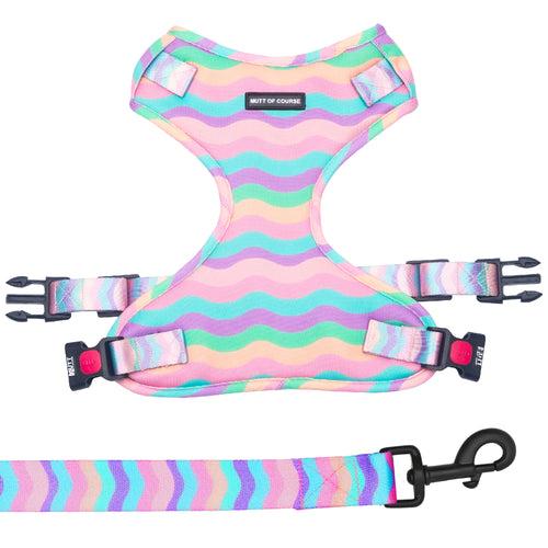 Marshmallow Rainbow Dog Harness and Leash Set