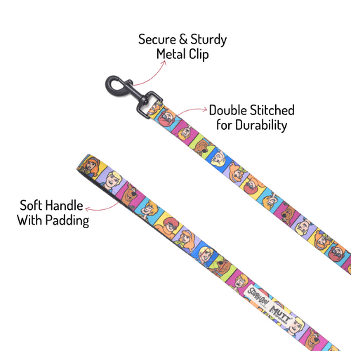 Scooby Doo Gang Dog Leash