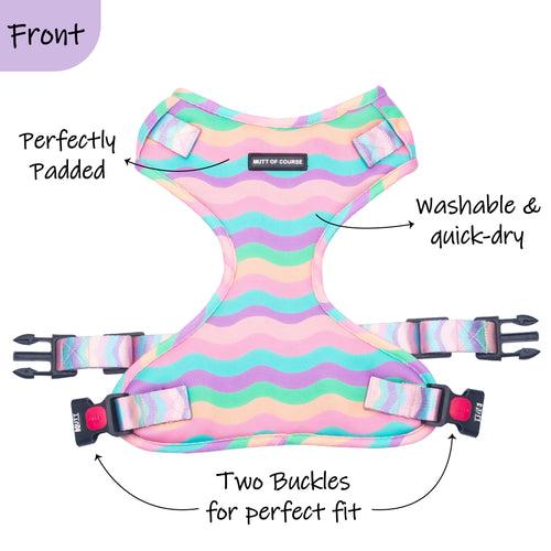 Marshmallow Rainbow Dog Harness and Leash Set