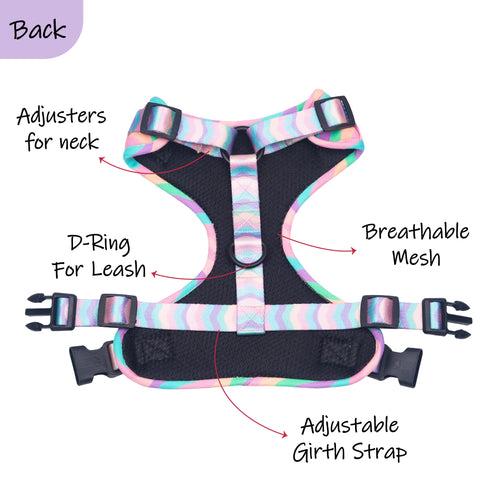 Marshmallow Rainbow Dog Harness and Leash Set