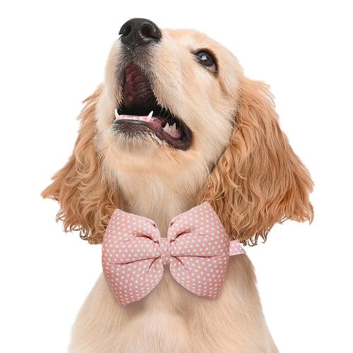 Polka Pink Dog Bow Tie