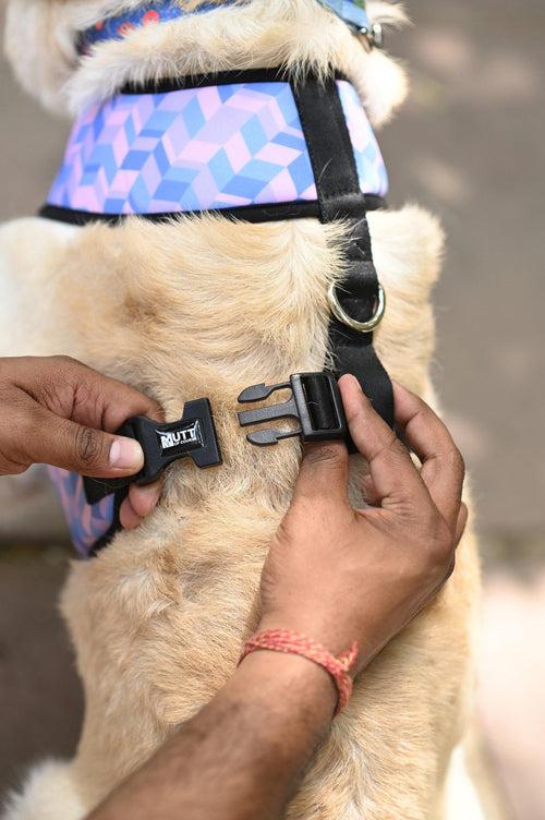 Geometrical Light Harness + Leash Set