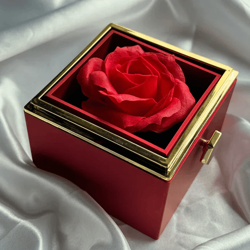 Eternal Rose Box With Pure Silver Necklace And Message Card Gift Set