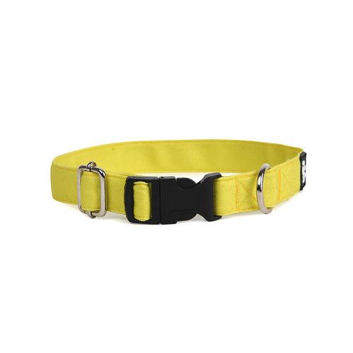 Dear Pet Classic Lime Dog Collar