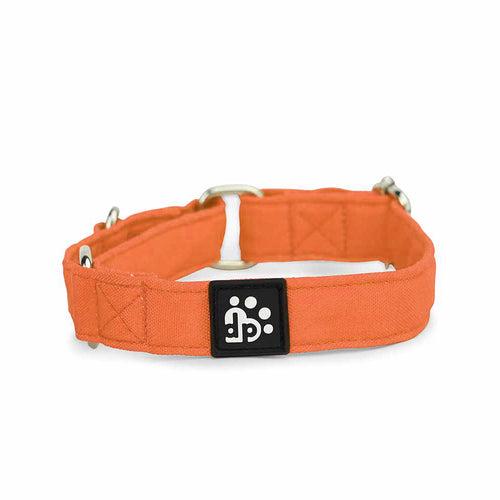 Dear Pet Classic Martingale Orange Dog Collar