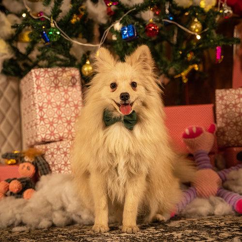 Dear Pet Something Christmasy Dog Bow Tie in Green