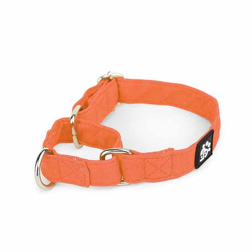 Dear Pet Classic Martingale Orange Dog Collar