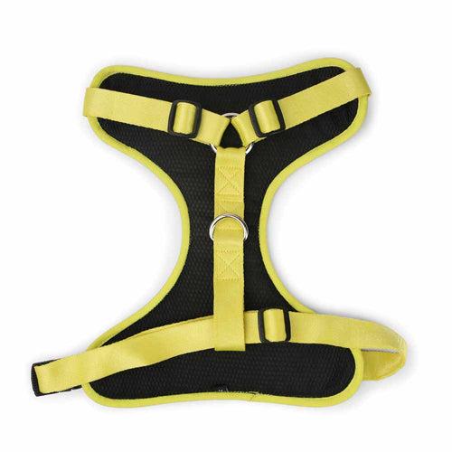 Dear Pet Double Trouble Blue & Lime Harness for Dogs