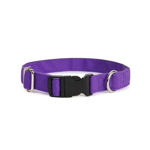 Dear Pet Classic Purple Dog Collar