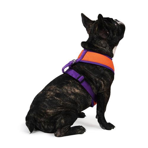 Dear Pet Double Trouble Orange & Purple Harness for Dogs