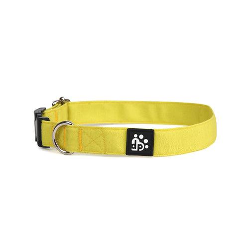 Dear Pet Classic Lime Dog Collar