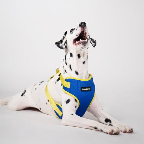 Dear Pet Double Trouble Blue & Lime Harness for Dogs