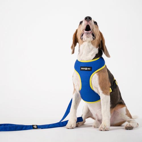 Dear Pet Double Trouble Blue & Lime Harness for Dogs