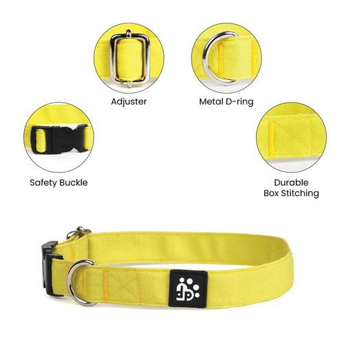 Dear Pet Classic Lime Dog Collar