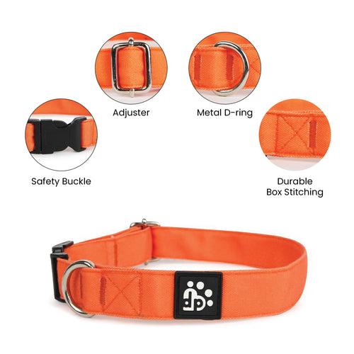 Dear Pet Classic Orange Dog Collar