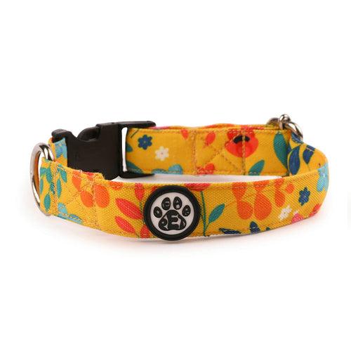 DearPet Blooming Yellow Dog Collar