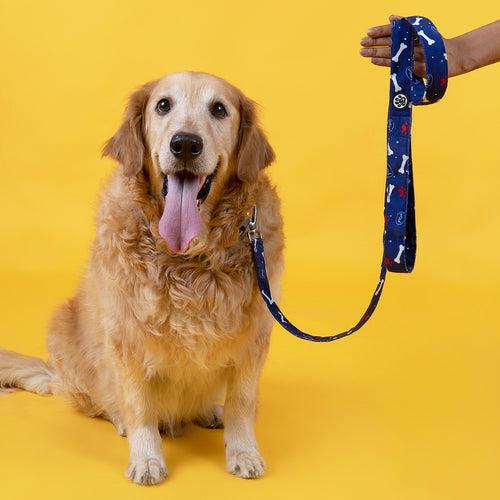 Dear Pet Woof Dog Leash