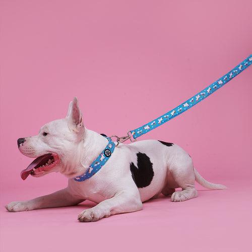 Dear Pet Majestic Unicorns Dog Leash