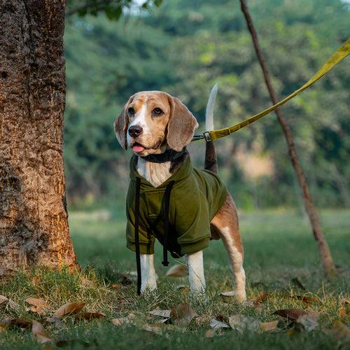 Dear Pet Olive Sweatshirt for Dogs