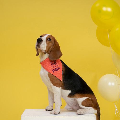 Dear Pet Talk To My Paw Bandana in Peach