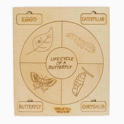 Life Cycle Puzzles | Coloring Activity (36 Pcs)- Frog, Plant, Chicken & Butterfly