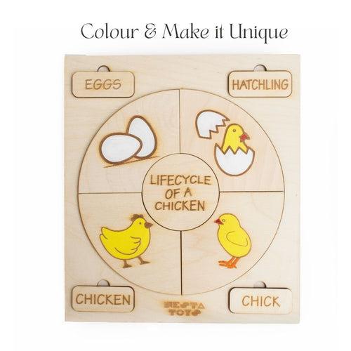 Life Cycle Puzzles | Coloring Activity (36 Pcs)- Frog, Plant, Chicken & Butterfly