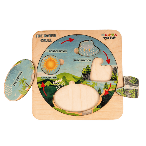 NESTA TOYS - Montessori Wooden Water Cycle Puzzle | Educational STEM Learning Toy