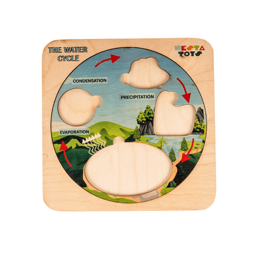 NESTA TOYS - Montessori Wooden Water Cycle Puzzle | Educational STEM Learning Toy