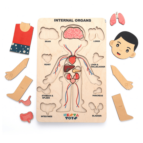 Human Body | Internal Organs Wooden Puzzle