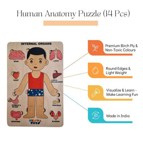 Human Body | Internal Organs Wooden Puzzle