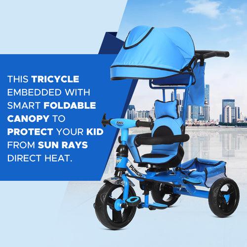 Dash Punch 4-in-1 Baby Tricycle: UV Canopy, Parental Handle - 1 Year+ (Choose Any Color)